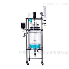 BYNS-10L双层玻璃反应釜/反应器