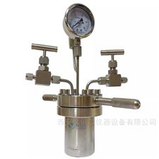 YGYF-100ml不锈钢高压反应釜